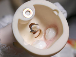 �ޤ��ϥݥꥭ��åפ������