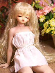 ̲�ߥߥإå� on the �������ܥǥ�