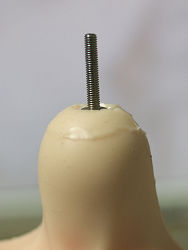 �ۡ������ͥ���ͤ�������Ȥ���