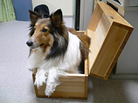 ���Ƥ�����Ƥߤ�