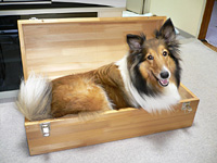 ����äȤ��Ĥ��ߤ�����