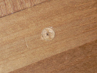 8mm �ڹ��ѥɥ��Ƿڤ�����