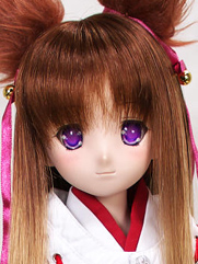 ���Ӥޤ��� 2010/01/31����