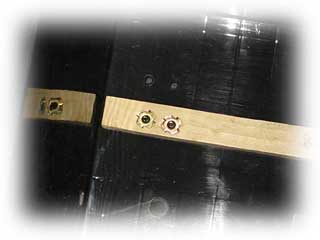 �ܕt���i�b�g��ł����񂾖؂̔�