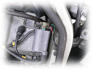 �����˥å���󥳥���μ�곰����