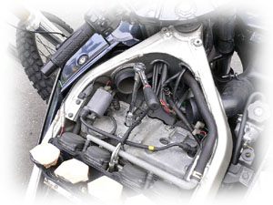 �ץ饰�μ���դ�