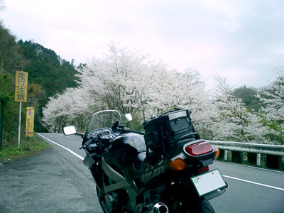 �������̍�