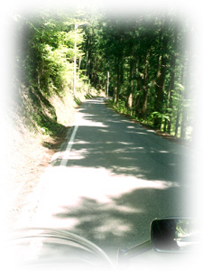 ����439����