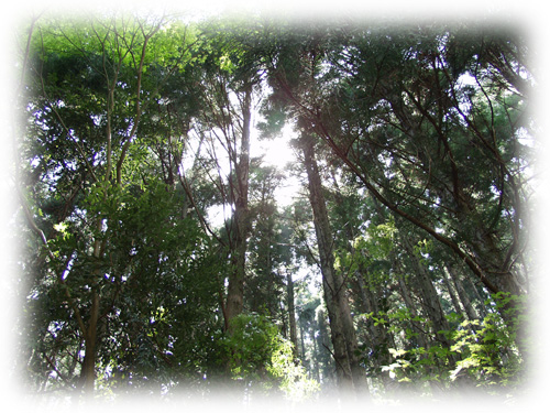 �E�E�E�E�E�E�E�D(�m�D`)