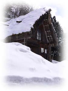 ��� ���� #1