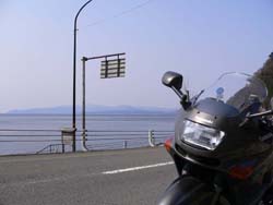 ŷ�������ʤ�